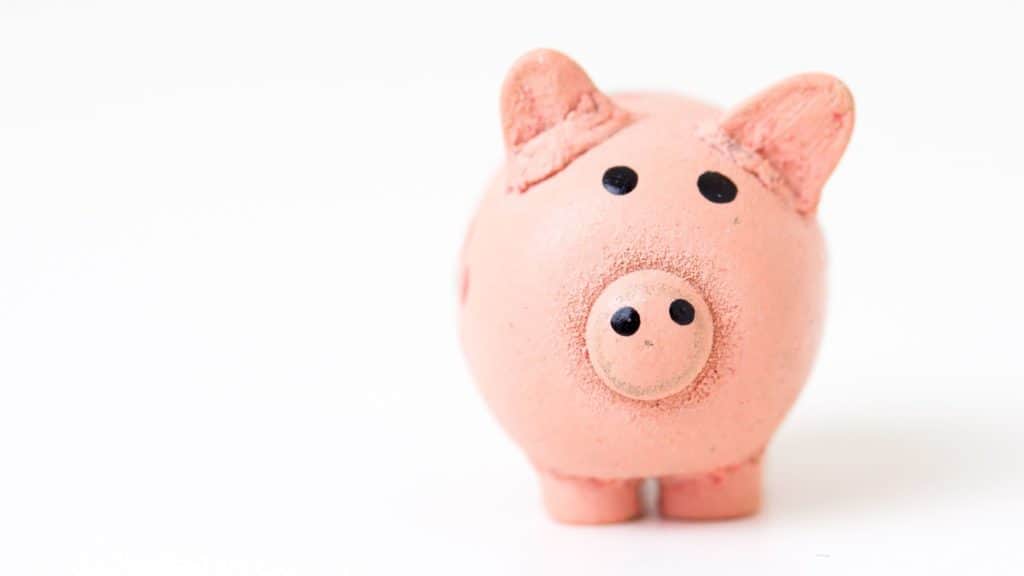 Pink plush looking piggy bank against white background
