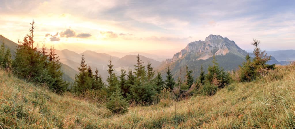 AdobeStock_71074934