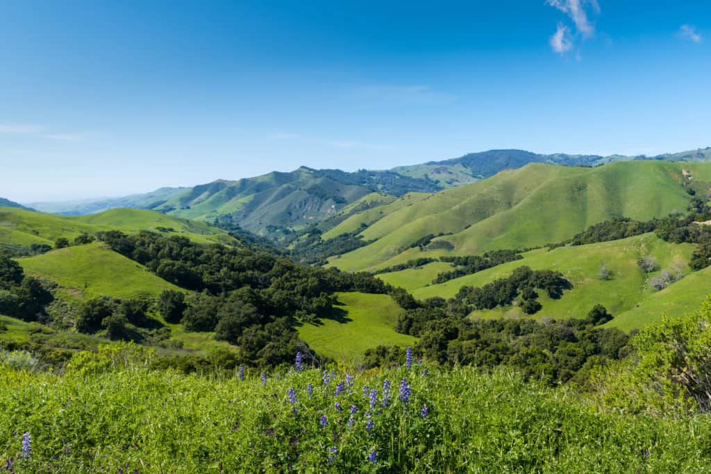 AdobeStock_267143775